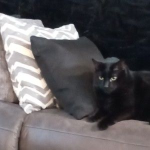 Meet your Posher, Mary